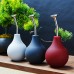 Squeeze Bottle Plant Watering Pot Indoor Plant Squeeze Bulb 224ml Balloon Mist Sprayer