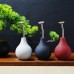 Squeeze Bottle Plant Watering Pot Indoor Plant Squeeze Bulb 224ml Balloon Mist Sprayer